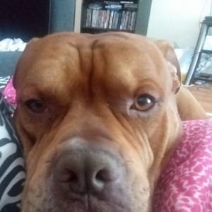 Meet your Posher, Danielle